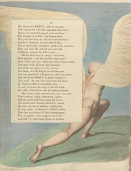 Youngs Nachtgedanken, Seite 25